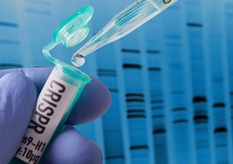 CRISPR research in laboratory