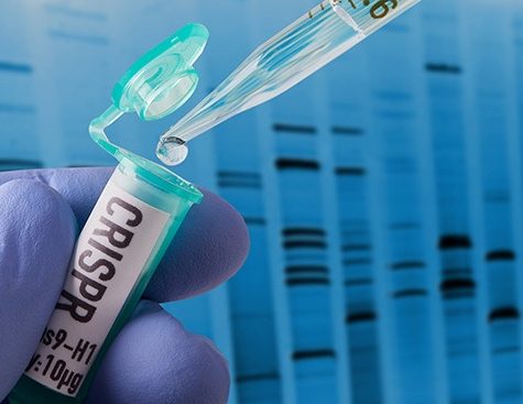 CRISPR research in laboratory