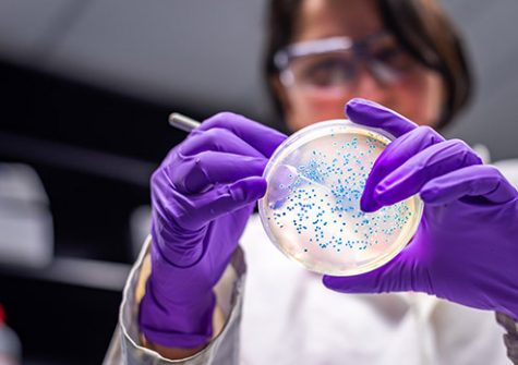 Enterome-microbiome
