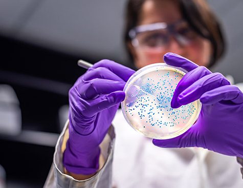 Enterome-microbiome