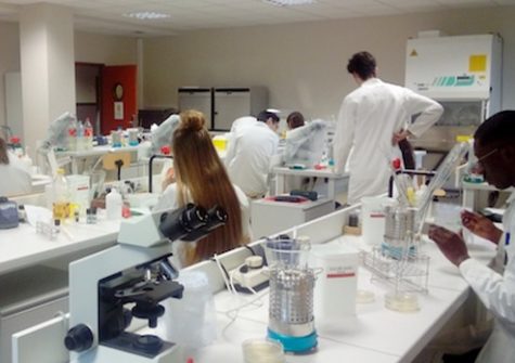 Etudiants salle de TP biotechnologies