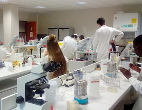 Etudiants salle de TP biotechnologies