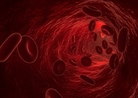 Globules rouges - Avancées scientifiques