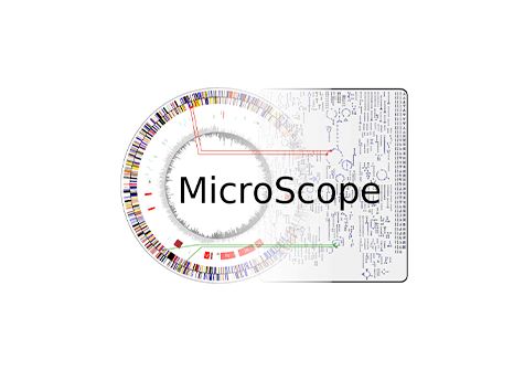 Plateforme MicroScope - plateforme génopolitaine