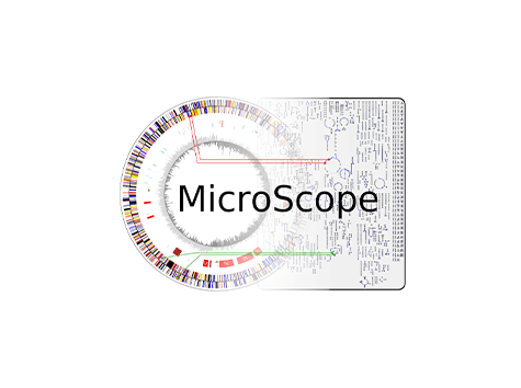 Plateforme MicroScope - plateforme génopolitaine