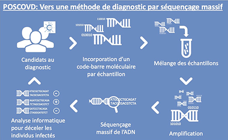 Figure illustrant le projet POSSCOVD - vignette