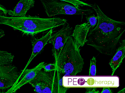PEPTherapy - Cellules cancéreuses avec leurs cibles en rouge - PEP-010