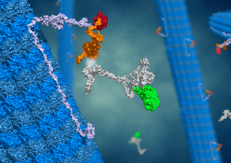 Illustration du principe de la technologie Microtubule bench