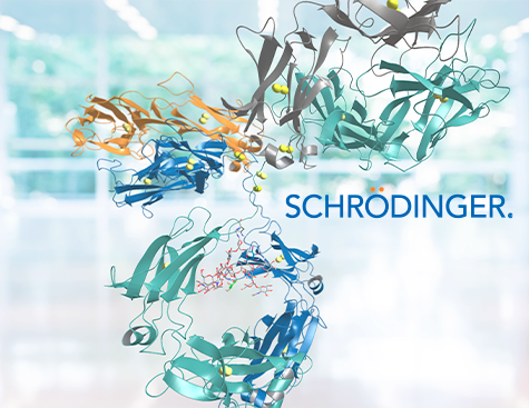 biologics by desing workshop Shrodinger