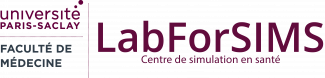 LabForSIMS - logo