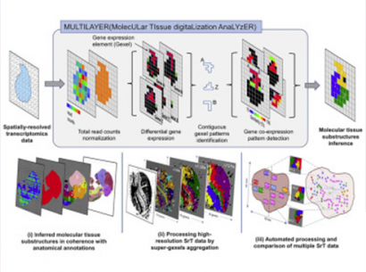 SYSFATE - MultiLayer - Molecular Tissue Digitalization Analyzer