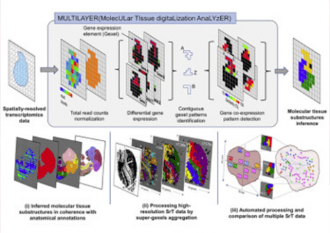 SYSFATE - MultiLayer - Molecular Tissue Digitalization Analyzer