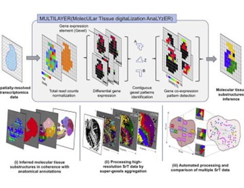 SYSFATE - MultiLayer - Molecular Tissue Digitalization Analyzer