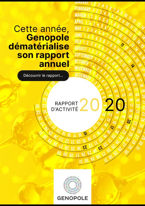 Rapport annuel 2020