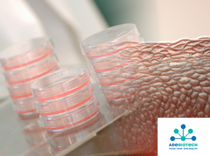 7 oct. - Colloque Adebiotech - 3D reconstructed Tissues