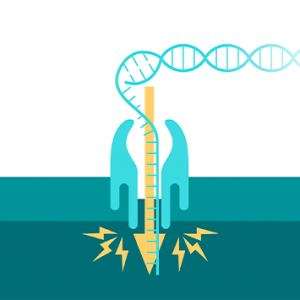 Technologie Nanopore pour le séquençage