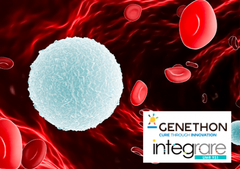 INtegrare / Généthon - Efficacité à long terme de la thérapie génique d’un déficit immunitaire