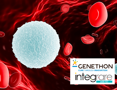 INtegrare / Généthon - Efficacité à long terme de la thérapie génique d’un déficit immunitaire