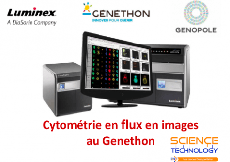 Séminaire et Sessions pratiques sur la Cytométrie en flux en images à Généthon