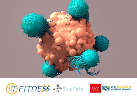 CAR-T Cells - SysFate - T-FitnessFit