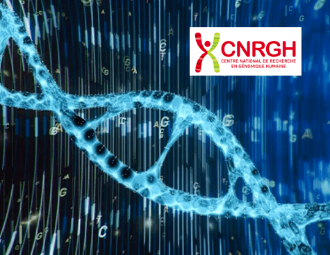 CNRGH - 3 sites génomiques associés à l'hypertension arterielle