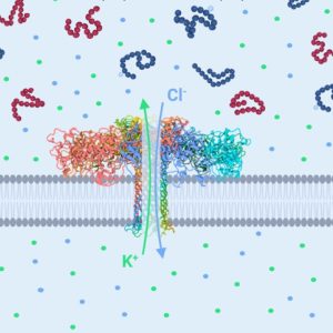 Lambe - Nanopore - détection de biomarqueurs