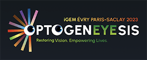projet de l’équipe iGEM Evry Paris-Saclay OptoGenEYEsis 