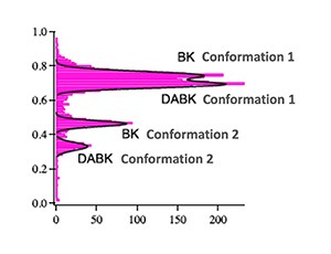 Signatures électriques des deux kinines BK et DABK identifier comme biomarqueurs de maladie et quantifiés grâce à la méthode nanopore du Lambe