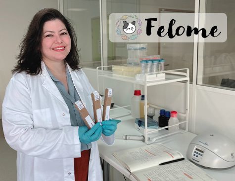 Laina Meyer directrice scientifique ©Felome