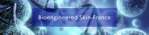 "Bioengineered Skin France" (axe Thérapies cellulaires)