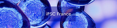 « IPSC-France » (axe Thérapies cellulaires)
