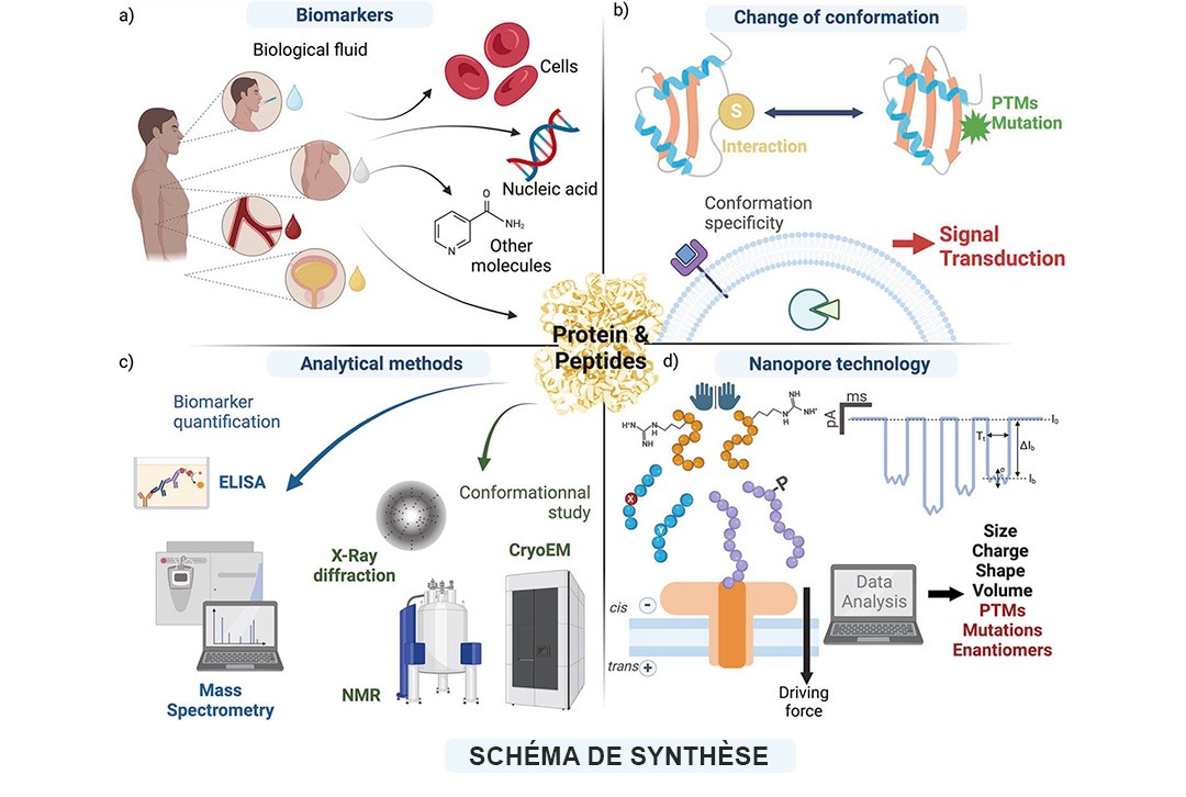 Lambe - Schéma de synthèse : Vers un diagnostic de précision au chevet du patient : ambitions des technologies nanopores