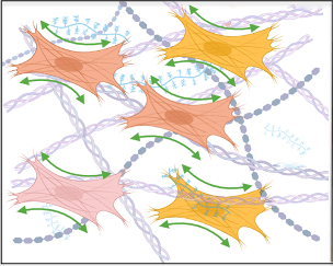 LGRK - matrice fibreuse pathologique, remplacement progressif du tissu conjonctif fonctionnel par un tissu non fonctionnel fibreux