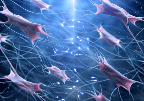 actu : Le laboratoire LGRK, spécialiste des cellules souches de la peau, a révélé l’implication d’un ARN long non codant dans une complication fréquente de la radiothérapie du cancer du sein, la fibrose radio-induite.