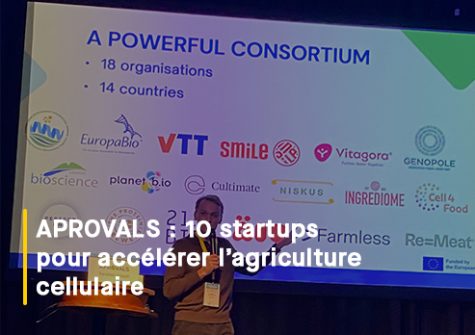 APROVALS sélectionne dix entreprises européennes pour accélérer l’agriculture cellulaire