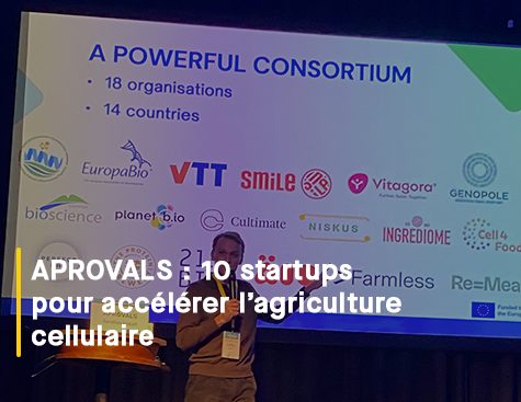 APROVALS sélectionne dix entreprises européennes pour accélérer l’agriculture cellulaire