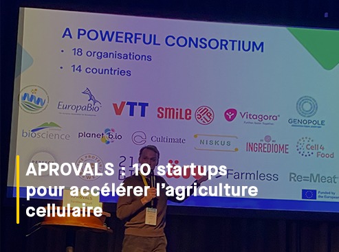 APROVALS sélectionne dix entreprises européennes pour accélérer l’agriculture cellulaire