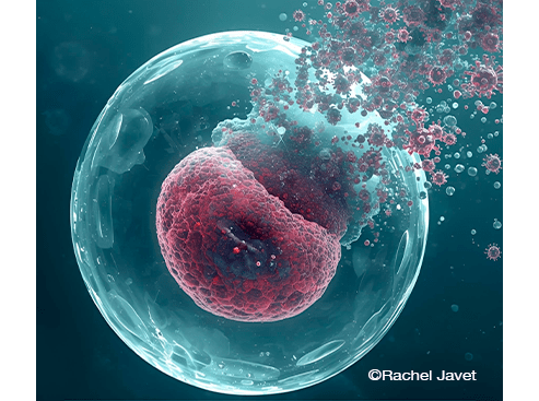 Genoscope : Un surprenant groupe viral émerge des océans. Illustration ©Rachel Javet