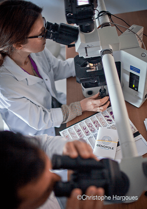 Equipement de la plateforme Histologie-Anatomocythopathologie - ©Christophe Hargoues - 2017-2027